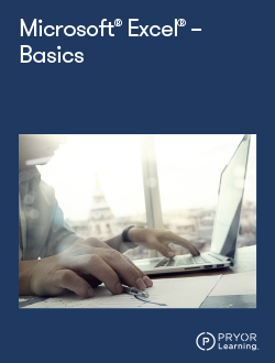 Microsoft Excel Basics