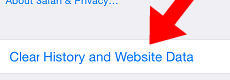 Safari Clear History and Website data