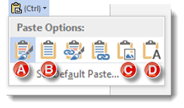 Paste Options Screenshot Excel